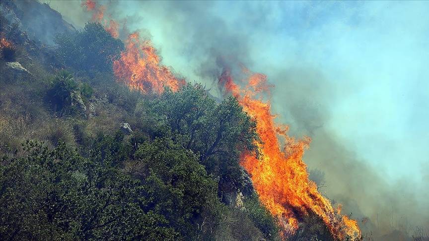 Bursa, Denizli ve Hatay’da orman yangınlarında son durum: Bursa’da alevler büyüyor! 5